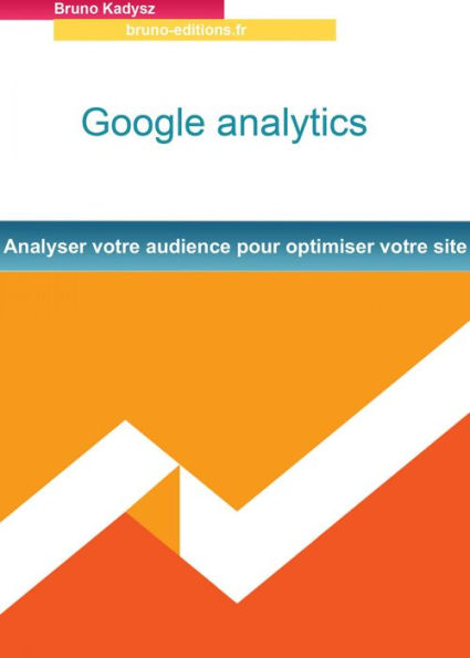 Google analytics: Analyser votre audience pour optimiser votre site internet
