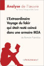 L'Extraordinaire Voyage du fakir qui était resté coincé dans une armoire IKEA de Romain Puértolas (Analyse de l'oeuvre): Analyse complète et résumé détaillé de l'oeuvre