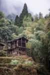 Alternative view 5 of Wabi-Sabi Mood