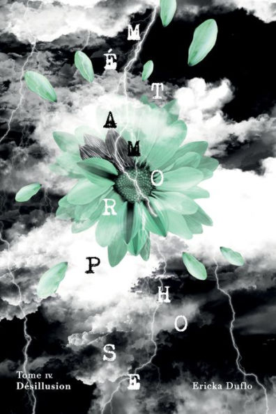 Métamorphose 4 : Désillusion