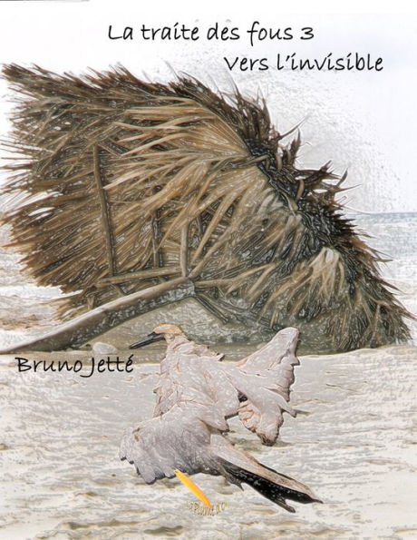La traite des fous 3: Vers l'invisible