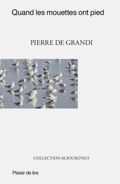 Quand les mouettes ont pied: Un roman de mours moderne