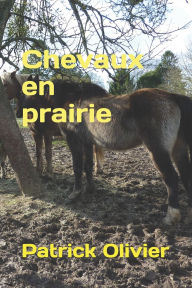Title: Chevaux en prairie, Author: Patrick Olivier