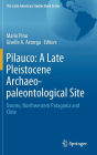 Pilauco: A Late Pleistocene Archaeo-paleontological Site: Osorno, Northwestern Patagonia and Chile