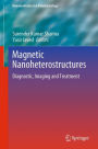 Magnetic Nanoheterostructures: Diagnostic, Imaging and Treatment