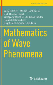 Title: Mathematics of Wave Phenomena, Author: Willy Dïrfler