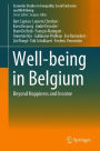 Well-being in Belgium: Beyond Happiness and Income