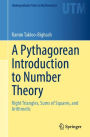 A Pythagorean Introduction to Number Theory: Right Triangles, Sums of Squares, and Arithmetic