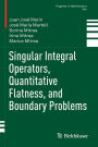 Singular Integral Operators, Quantitative Flatness, and Boundary Problems