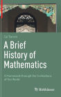 A Brief History of Mathematics: A Promenade through the Civilizations of Our World