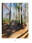 Alternative view 4 of How Much House?: Thoreau, Le Corbusier and the Sustainable Cabin
