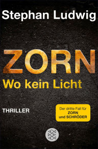 Title: Zorn - Wo kein Licht: Thriller, Author: Stephan Ludwig