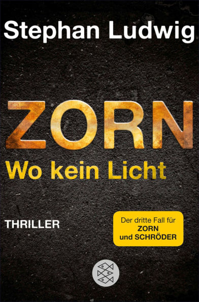 Zorn - Wo kein Licht: Thriller