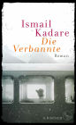 Die Verbannte: Roman