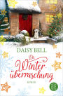 Die Winterüberraschung: Roman
