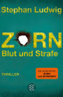 Zorn 8 - Blut und Strafe: Thriller
