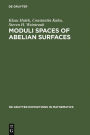 Moduli Spaces of Abelian Surfaces: Compactification, Degenerations and Theta Functions / Edition 1