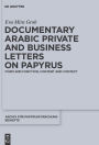 Documentary Arabic Private and Business Letters on Papyrus: Form and Function, Content and Context