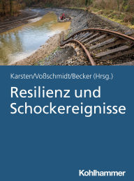 Title: Resilienz und Schockereignisse, Author: Andreas Hermann Karsten