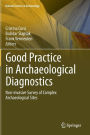 Good Practice in Archaeological Diagnostics: Non-invasive Survey of Complex Archaeological Sites