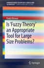 Is 'Fuzzy Theory' an Appropriate Tool for Large Size Problems?