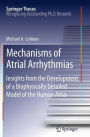 Mechanisms of Atrial Arrhythmias: Insights from the Development of a Biophysically Detailed Model of the Human Atria