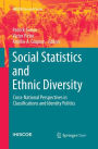 Social Statistics and Ethnic Diversity: Cross-National Perspectives in Classifications and Identity Politics