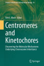 Centromeres and Kinetochores: Discovering the Molecular Mechanisms Underlying Chromosome Inheritance