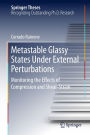 Metastable Glassy States Under External Perturbations: Monitoring the Effects of Compression and Shear-strain