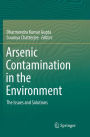 Arsenic Contamination in the Environment: The Issues and Solutions