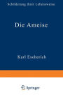 Die Ameise: Schilderung ihrer Lebensweise