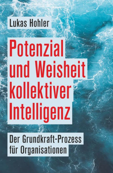 Potenzial und Weisheit kollektiver Intelligenz: Der Grundkraft-Prozess für Organisationen