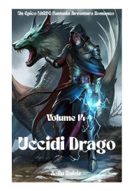 Title: Uccidi Drago:Un Epico LitRPG Fantasia Avventura Romanzo (Volume 14), Author: Aoliu Bafeis