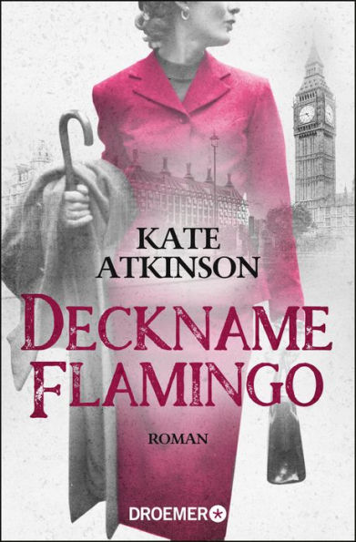 Deckname Flamingo: Roman