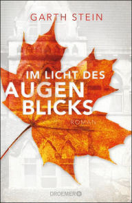 Title: Im Licht des Augenblicks: Roman, Author: Garth Stein