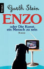 Enzo. Die Kunst, ein Mensch zu sein: Roman