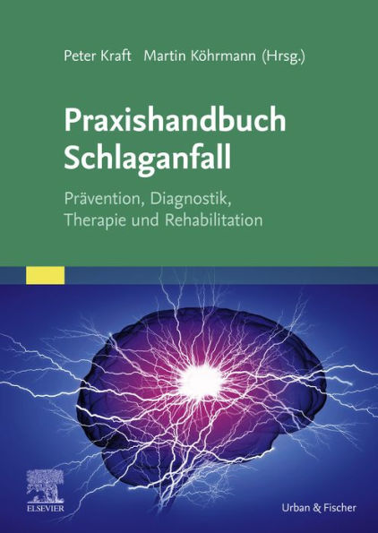 Praxishandbuch Schlaganfall: Prävention, Diagnostik, Therapie und Rehabilitation