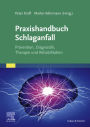 Praxishandbuch Schlaganfall: Prävention, Diagnostik, Therapie und Rehabilitation