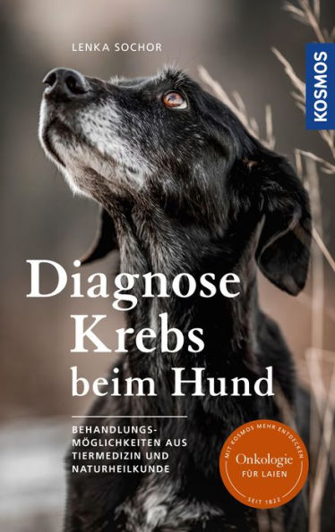 Diagnose Krebs beim Hund: Behandlungsmöglichkeiten aus Tiermedizin und Naturheilkunde