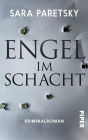 Engel im Schacht: Kriminalroman