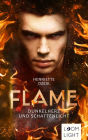 Flame 2: Dunkelherz und Schattenlicht: Spannende Götter-Fantasy um eine gefährliche Liebe