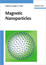 Magnetic Nanoparticles / Edition 1