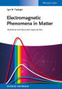 Electromagnetic Phenomena in Matter: Statistical and Quantum Approaches / Edition 1
