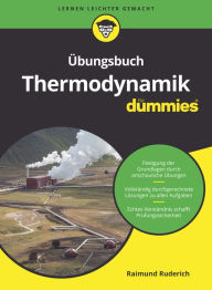 Title: Übungsbuch Thermodynamik für Dummies, Author: Raimund Ruderich
