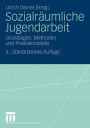 Sozialräumliche Jugendarbeit: Grundlagen, Methoden und Praxiskonzepte