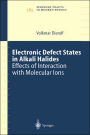 Electronic Defect States in Alkali Halides: Effects of Interaction with Molecular Ions / Edition 1