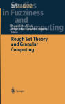 Alternative view 2 of Rough Set Theory and Granular Computing