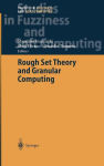 Alternative view 3 of Rough Set Theory and Granular Computing