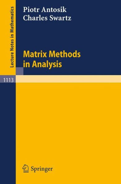 Matrix Methods in Analysis / Edition 1