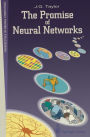 The Promise of Neural Networks